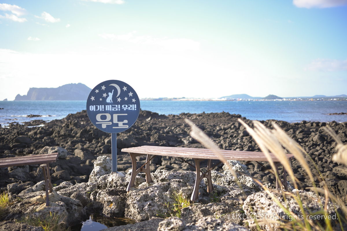 jeju woodo island